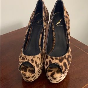 B Brain Atwood Platform pump